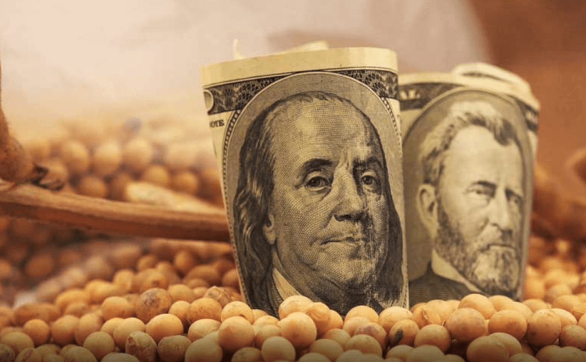 Снижение запасов кукурузы и сои в США приведет к росту цен на кормовые добавки