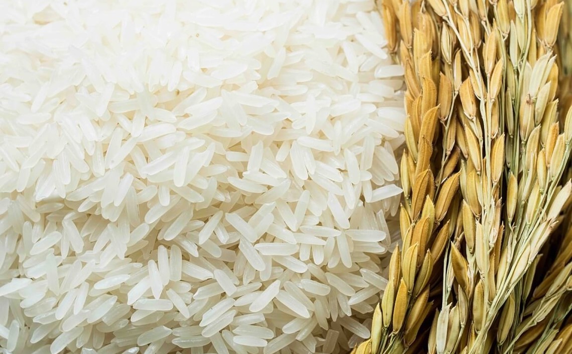 Китай выпустил в продажу рис для производителей комбикормов