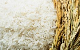 Китай выпустил в продажу рис для производителей комбикормов