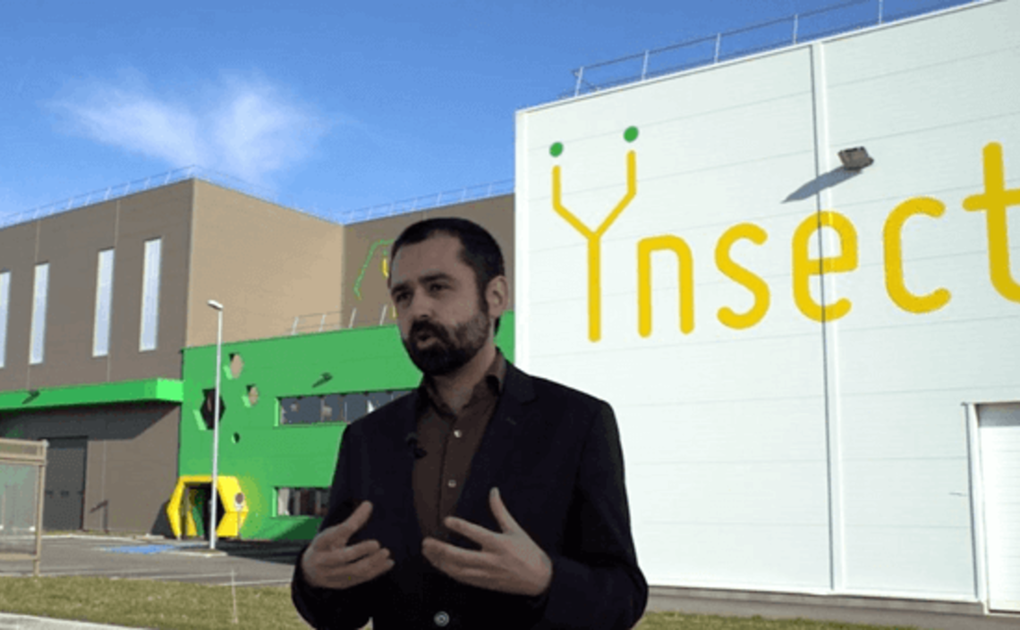 &Yuml;nsect приобретает голландскую фирму по выращиванию мучных червей