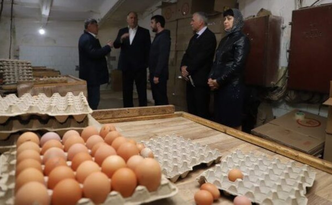 Потенциал птицеводства Республики Дагестан
