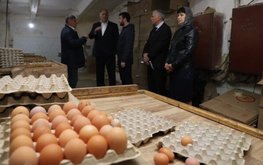 Потенциал птицеводства Республики Дагестан