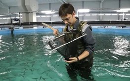 В Ярославской области сформируют аквакультурный кластер