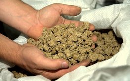 Россельхознадзор требует приостановить поставку кормов из Германии из-за ГМО