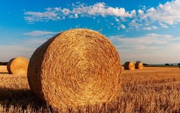 Аграрии Татарстана приступили к кормозаготовке