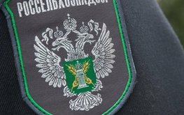 Россельхознадзор с 1 июня вводит запрет на поставки кормов и кормовых добавок из Литвы