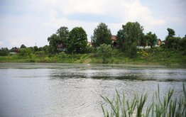Госдума приняла поправки в закон об аквакультуре