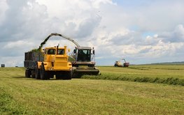 Темпы заготовки кормов в Беларуси выше прошлогодних