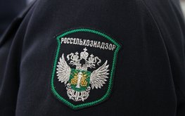 Россельхознадзор ограничил поставки кормов и кормовых добавок из Чехии