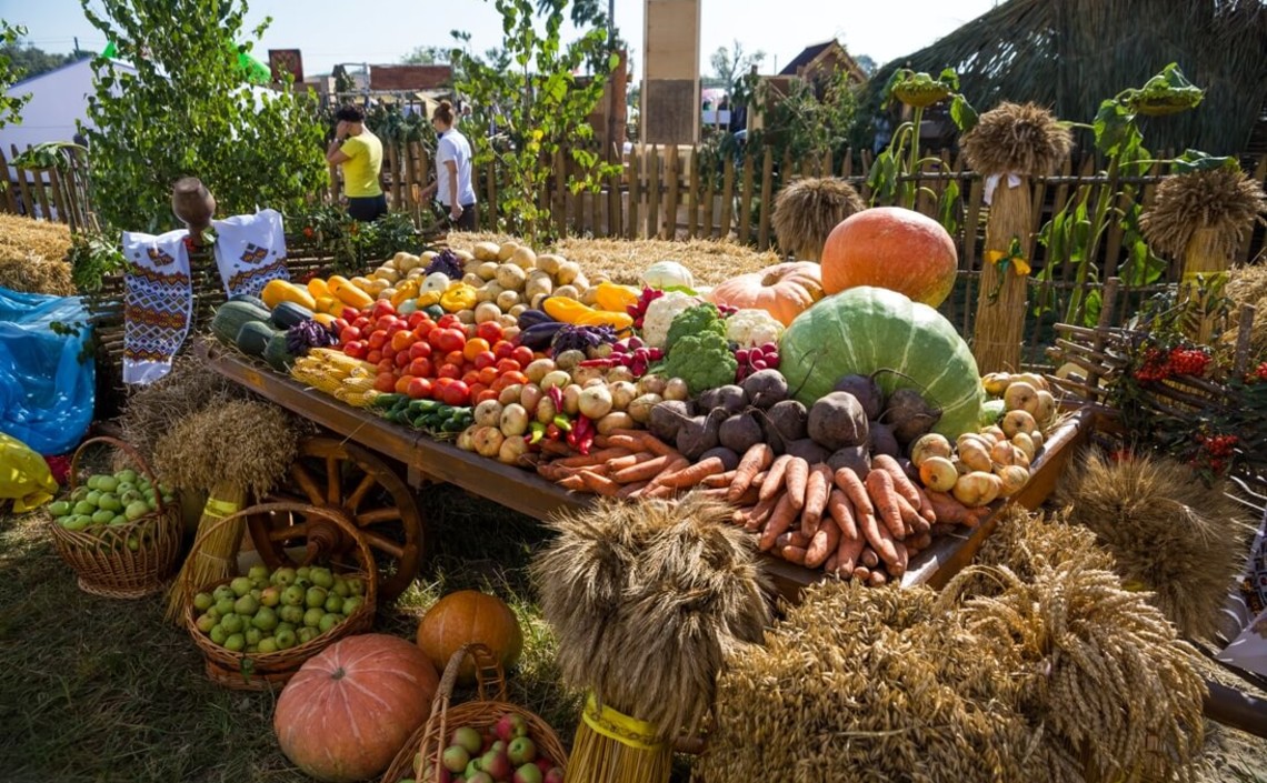 Правительство разрешит фермерам торговать продукцией на сельхозземлях