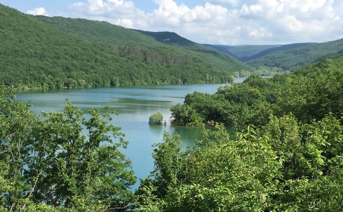 Миллион особей: водохранилища Крыма наполняют рыбой