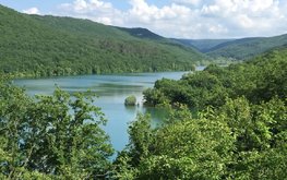 Миллион особей: водохранилища Крыма наполняют рыбой