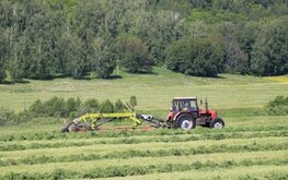 На полях Татарстана предстоит убрать 1,6 млн. га зерновых и зернобобовых