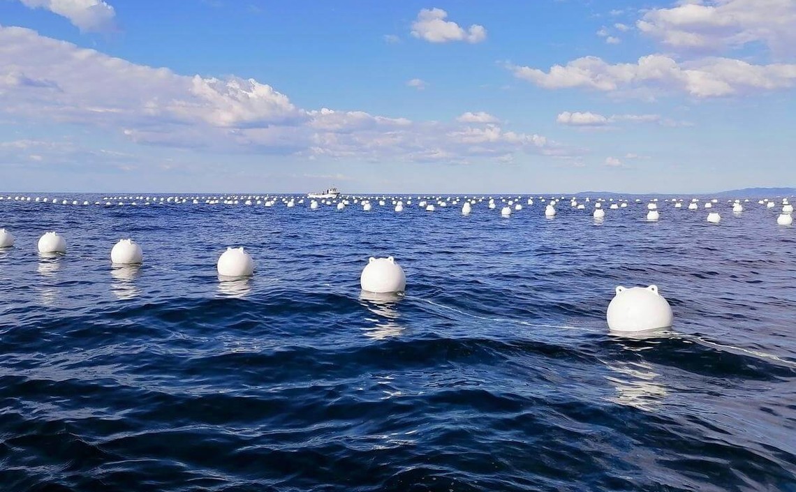 &laquo;Морские огороды&raquo; Приморья страдают от жары