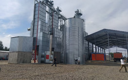 В Ленинградской области собрано 40% урожая зерновых культур, заготовлено 50% кормов
