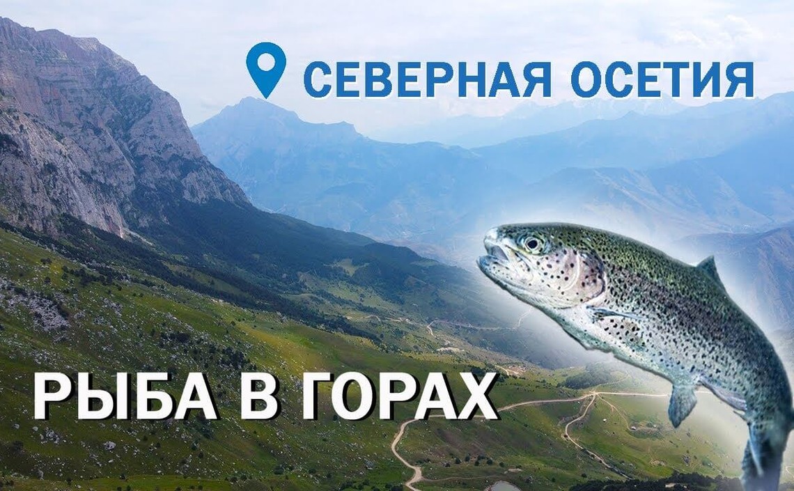 Как выращивают форель в Северной Осетии. Просто Агроблог