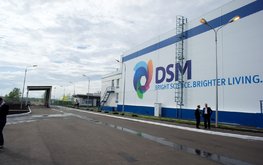 DSM сосредоточится на кормовых продуктах