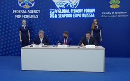 В России появятся первые наземные заводы по выращиванию сёмги