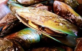 Мука из мидий может частично заменить рыбную муку в рационе креветок
