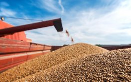ФАО регистрирует продолжение роста цен на продовольствие и дефицит производства зерна