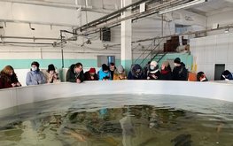 В Костроме открылась рыбная биржа