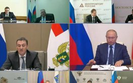 Минсельхоз разработал программу по импортозамещению кормов и кормовых добавок