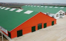 В Ивановской области запустили новый молочный комплекс