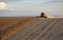 Парагвай в сентябре снизил экспорт сои и продуктов переработки из-за проблем с логистикой