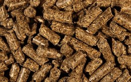 Еда из газа: российские учёные изобрели способ превращения метана в корм