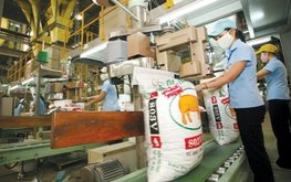 Вьетнам может стать лидером по производству кормовых продуктов в Юго-Восточной Азии