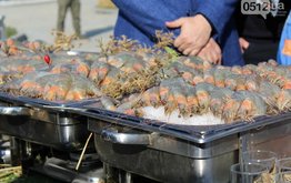 На Украине открыли самую большую в Европе креветочную ферму
