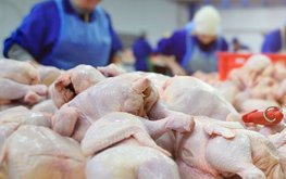 Россия может сократить выпуск мяса и птицы