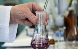 Пакистан и Китай объединили усилия в области исследования кормов