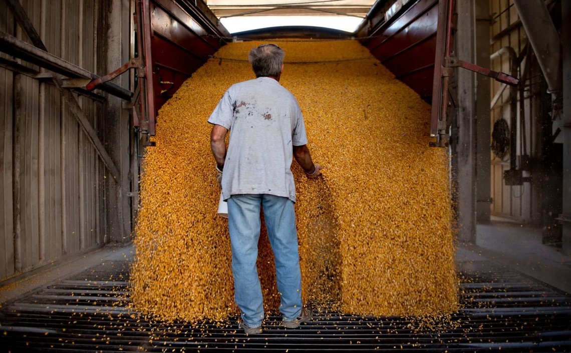 В России изменили законодательство о зерне и продуктах его переработки