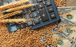 Квота на экспорт зерна в 2022 году может составить 11 млн тонн