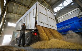 Экспортная пошлина на пшеницу увеличится до $94 за тонну