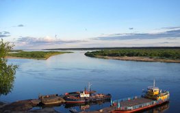 Учёные рассказали, в каких реках Поморья можно выращивать сотни тонн форели в год