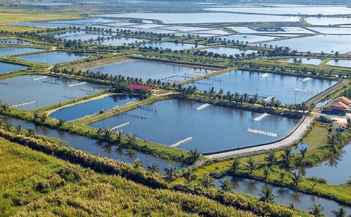 Индонезия стремится к созданию сети &laquo;аквакультурных деревень&raquo;