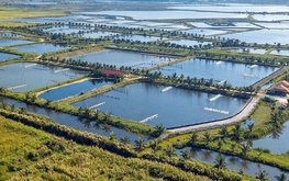 Индонезия стремится к созданию сети &laquo;аквакультурных деревень&raquo;