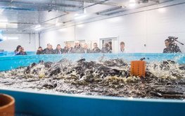 Тамбовские рыбоводческие предприятия увеличили производительность почти на 10%