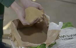 В Тульской области ввели 1-ю очередь комплекса по производству аминокислот