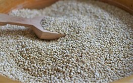 Refinitiv Agriculture: российский горох на пике мирового спроса