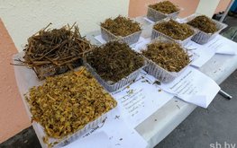В Беларуси заработала не имеющая аналогов в стране кормолаборатория
