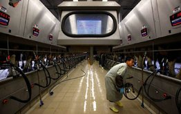 Китайские производители молока оказались в тяжёлом положении из-за роста цен на корма