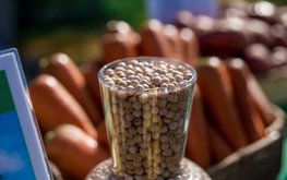 В России вступил в силу закон о продуктах питания с улучшенными характеристиками