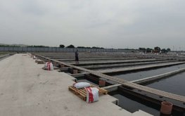 Финская компания Raisio приостановила экспорт кормов для рыб