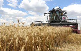 Французский эксперт заявил о незаменимости России на рынке продовольствия