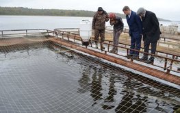 В Коми к 2025 году намерены увеличить объемы выращивания рыбы в 11 раз