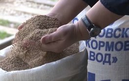 В Беларуси ввели лицензии на вывоз некоторых кормов для животных