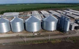 Французский инвестор планирует развивать свиноводческий бизнес в Липецкой области